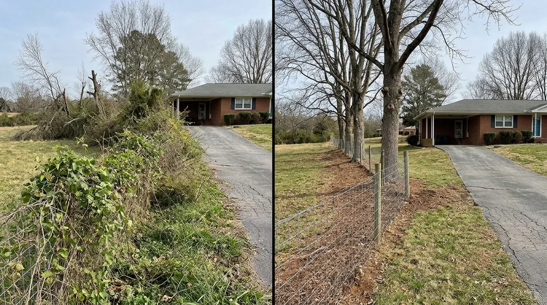 Result tree service in Knoxville - Knoxville Tree Trimming